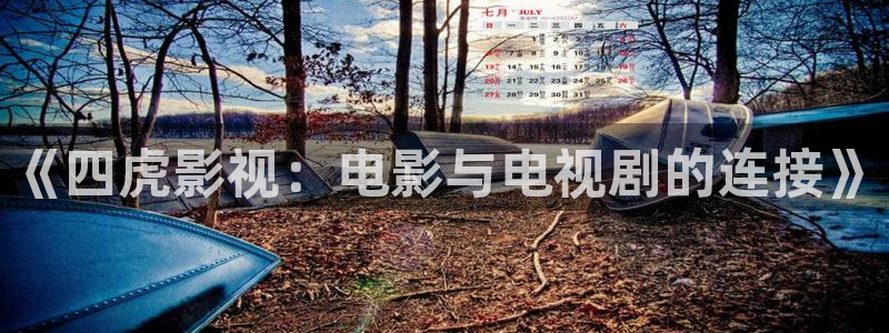 麦田影院2025下载