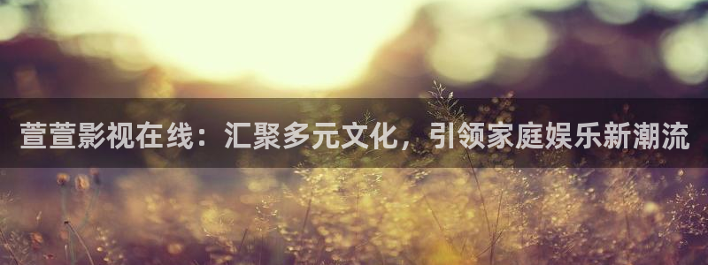 麦田电影高清在线观看