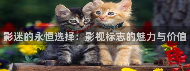 沂水九州麦田影城