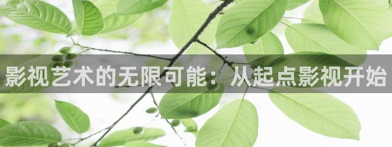 麦田影视免费高清观看电视剧