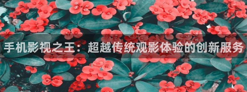 麦田 北京